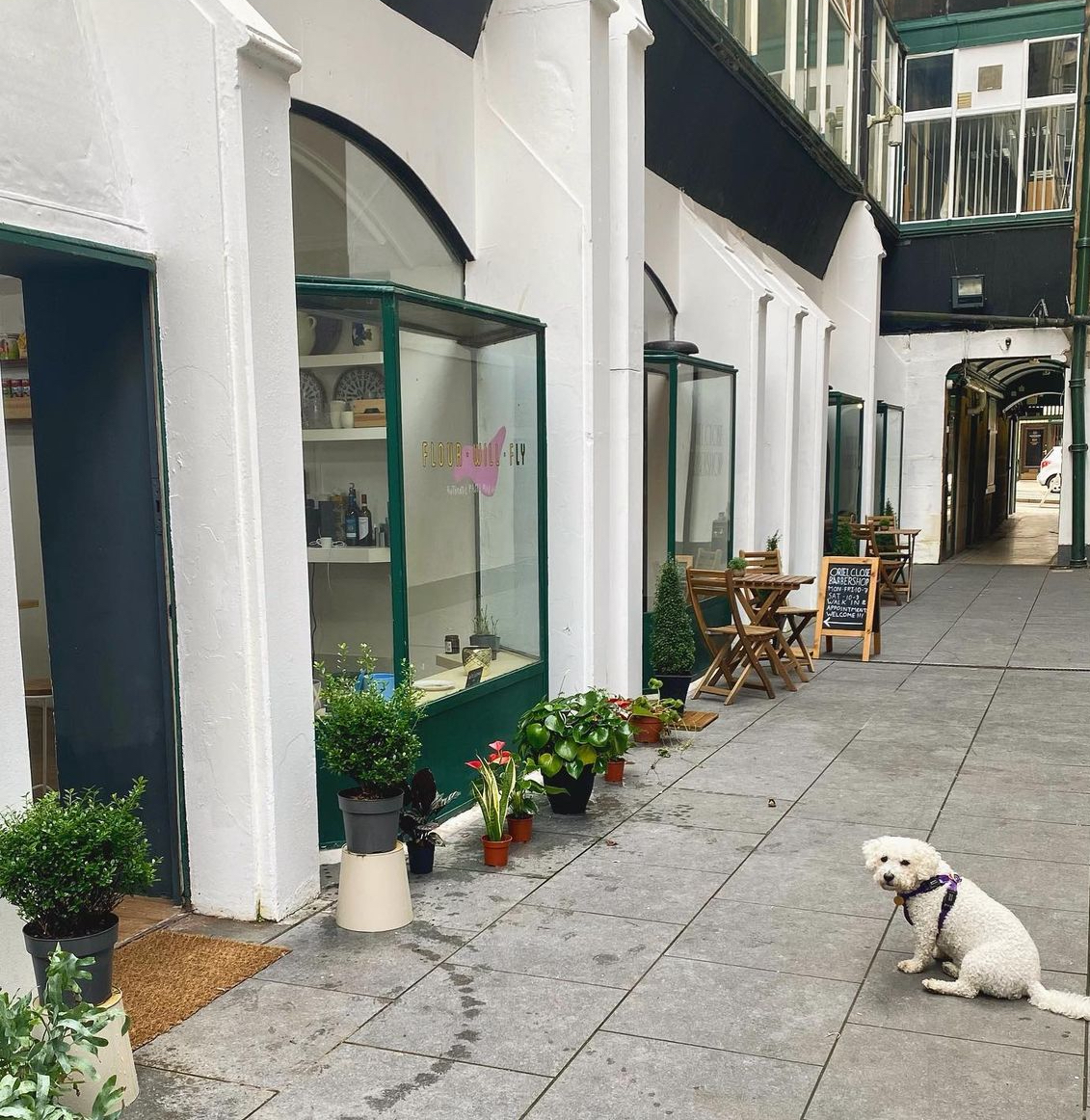 Water Street, Liverpool